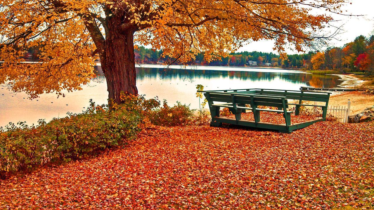 Silver Lake Park Campground & Cabins Ξενοδοχείο Belmont Εξωτερικό φωτογραφία